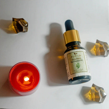 https://cdn.shopify.com/s/files/1/1857/6931/products/gRr4hh5MX0.jpg?v=1633055553