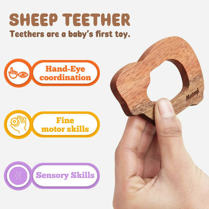 https://cdn.shopify.com/s/files/1/1857/6931/products/gXr2Vizwjt.jpg?v=1665480378