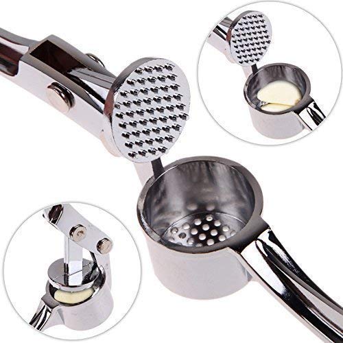 https://cdn.shopify.com/s/files/1/1857/6931/products/garl.jpg?v=1626245622