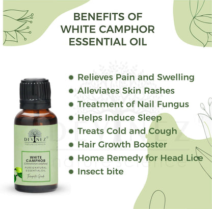 https://cdn.shopify.com/s/files/1/1857/6931/products/gazwkEL3YL.jpg?v=1682769562