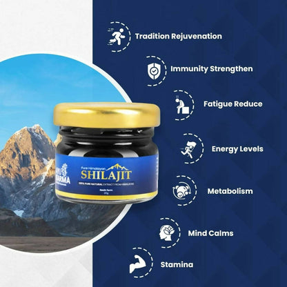 https://cdn.shopify.com/s/files/1/1857/6931/files/gbKsgFu7R0-718051.jpg?v=1736150938