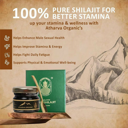 https://cdn.shopify.com/s/files/1/1857/6931/files/gdCiPFZdK3-336566.jpg?v=1736149935