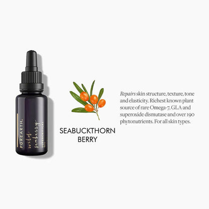 https://cdn.shopify.com/s/files/1/1857/6931/products/gebMGj9SlD.jpg?v=1662383737