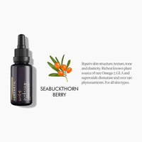 https://cdn.shopify.com/s/files/1/1857/6931/products/gebMGj9SlD.jpg?v=1662383737