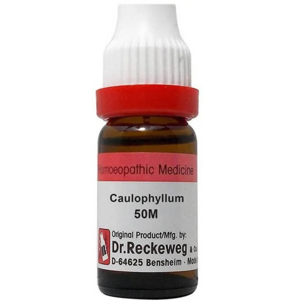 https://cdn.shopify.com/s/files/1/1857/6931/products/gegVjs2iZT.jpg?v=1657177657