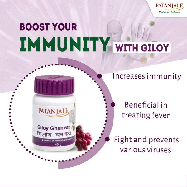 https://cdn.shopify.com/s/files/1/1857/6931/products/ghnavati.jpg?v=1737617234