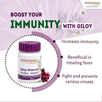https://cdn.shopify.com/s/files/1/1857/6931/products/ghnavati.jpg?v=1737617234