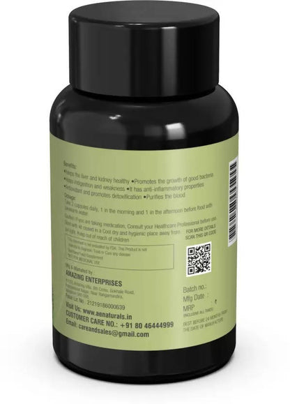 https://cdn.shopify.com/s/files/1/1857/6931/files/gi0tES92vi-757198.jpg?v=1736143805