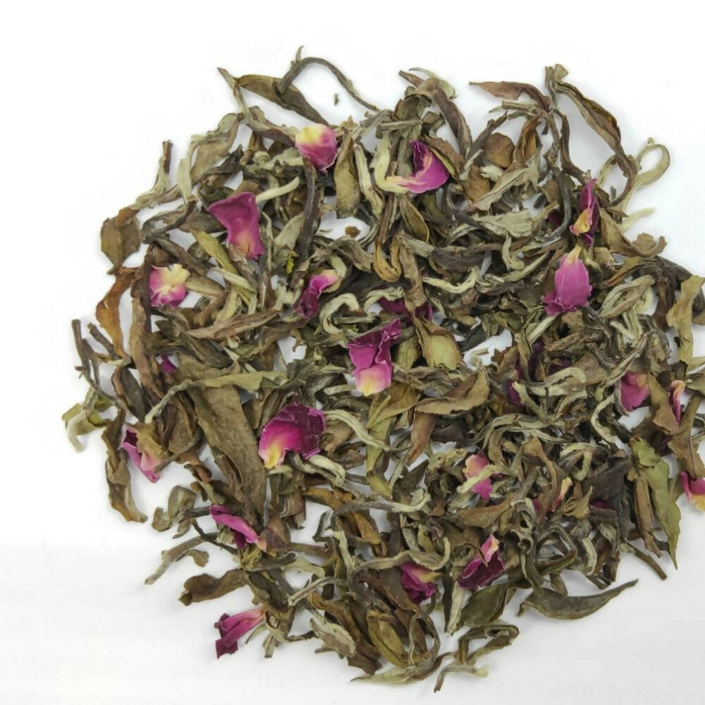 https://cdn.shopify.com/s/files/1/1857/6931/products/gibhk9oz6E.jpg?v=1679556870