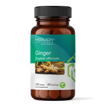 https://cdn.shopify.com/s/files/1/1857/6931/files/ginger_tablets_120_tablets_1-Photoroom.png?v=1788172369