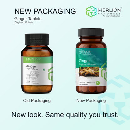 https://cdn.shopify.com/s/files/1/1857/6931/files/ginger_tablets_120_tablets_4-Photoroom.png?v=1788172370