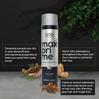 https://cdn.shopify.com/s/files/1/1857/6931/files/gjJ1Mq04PS.png?v=1738668940