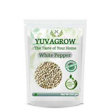 https://cdn.shopify.com/s/files/1/1857/6931/products/gmlxgtHeUA.jpg?v=1762395273