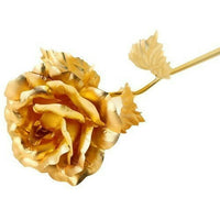 https://cdn.shopify.com/s/files/1/1857/6931/products/goDJzCKsTE.jpg?v=1706527262