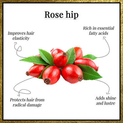 https://cdn.shopify.com/s/files/1/1857/6931/products/gold-vibes-plus-miracle-argan-rosehip-hair-oil-serum-50-ml_3_display_1596470087_62f4661e.jpg?v=1646302366