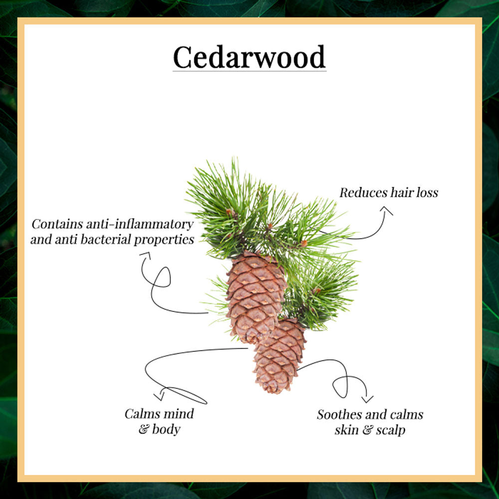 https://cdn.shopify.com/s/files/1/1857/6931/products/good-vibes-100-percentage-pure-cedarwood-essential-oil-10-ml-1_6_display_1622548173_c31a9c6e.jpg?v=1646131550
