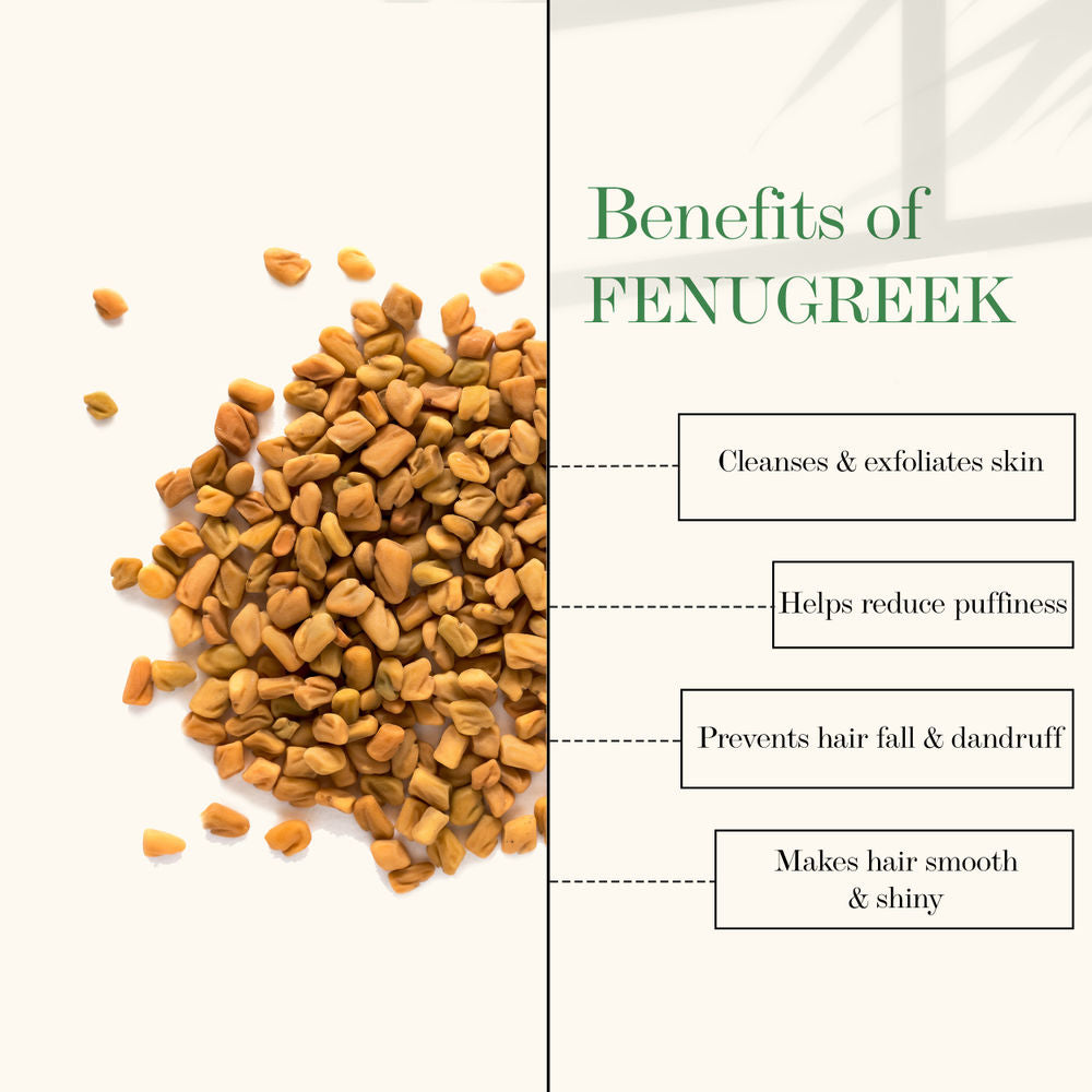 https://cdn.shopify.com/s/files/1/1857/6931/products/good-vibes-100-percentage-pure-essential-oil-fenugreek-10-ml_3_display_1631625036_f477c72e.jpg?v=1646131646