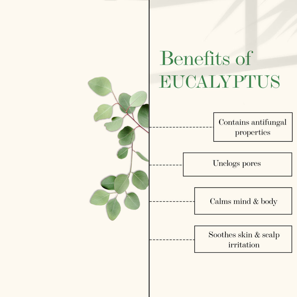 https://cdn.shopify.com/s/files/1/1857/6931/products/good-vibes-100-percentage-pure-eucalyptus-essential-oil-10-ml-1_3_display_1629720828_d06cff33.jpg?v=1646285253