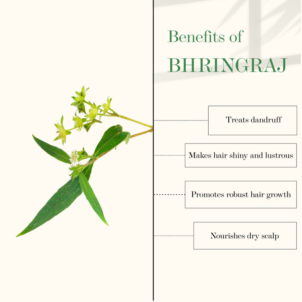 https://cdn.shopify.com/s/files/1/1857/6931/products/good-vibes-amla-and-bhringraj-strengthening-hair-oil-100-ml_2_display_1616832659_6e0e264f.jpg?v=1646132974