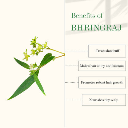 https://cdn.shopify.com/s/files/1/1857/6931/products/good-vibes-amla-and-bhringraj-strengthening-hair-oil-100-ml_2_display_1616832659_6e0e264f.jpg?v=1646132974