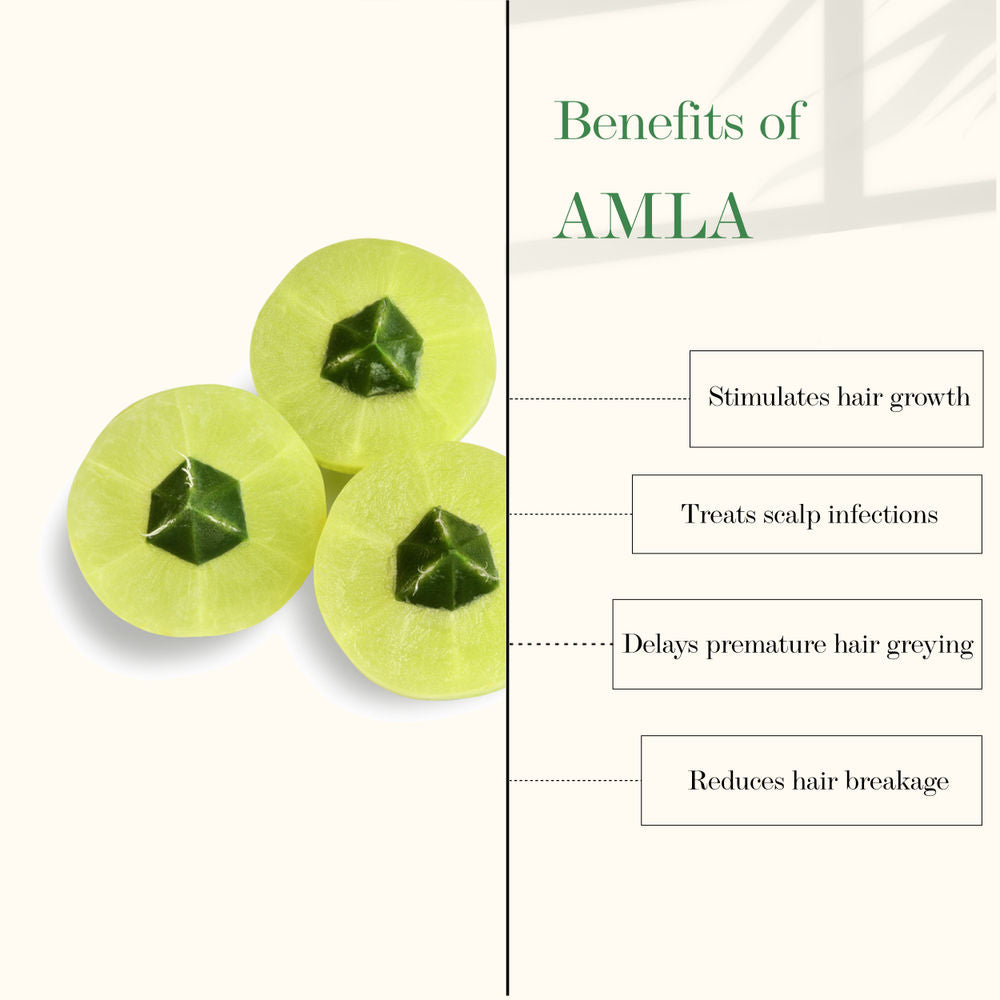 https://cdn.shopify.com/s/files/1/1857/6931/products/good-vibes-amla-and-bhringraj-strengthening-hair-oil-100-ml_3_display_1616832660_cf0cd662.jpg?v=1646132974