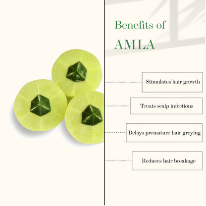 https://cdn.shopify.com/s/files/1/1857/6931/products/good-vibes-amla-and-bhringraj-strengthening-hair-oil-100-ml_3_display_1616832660_cf0cd662.jpg?v=1646132974