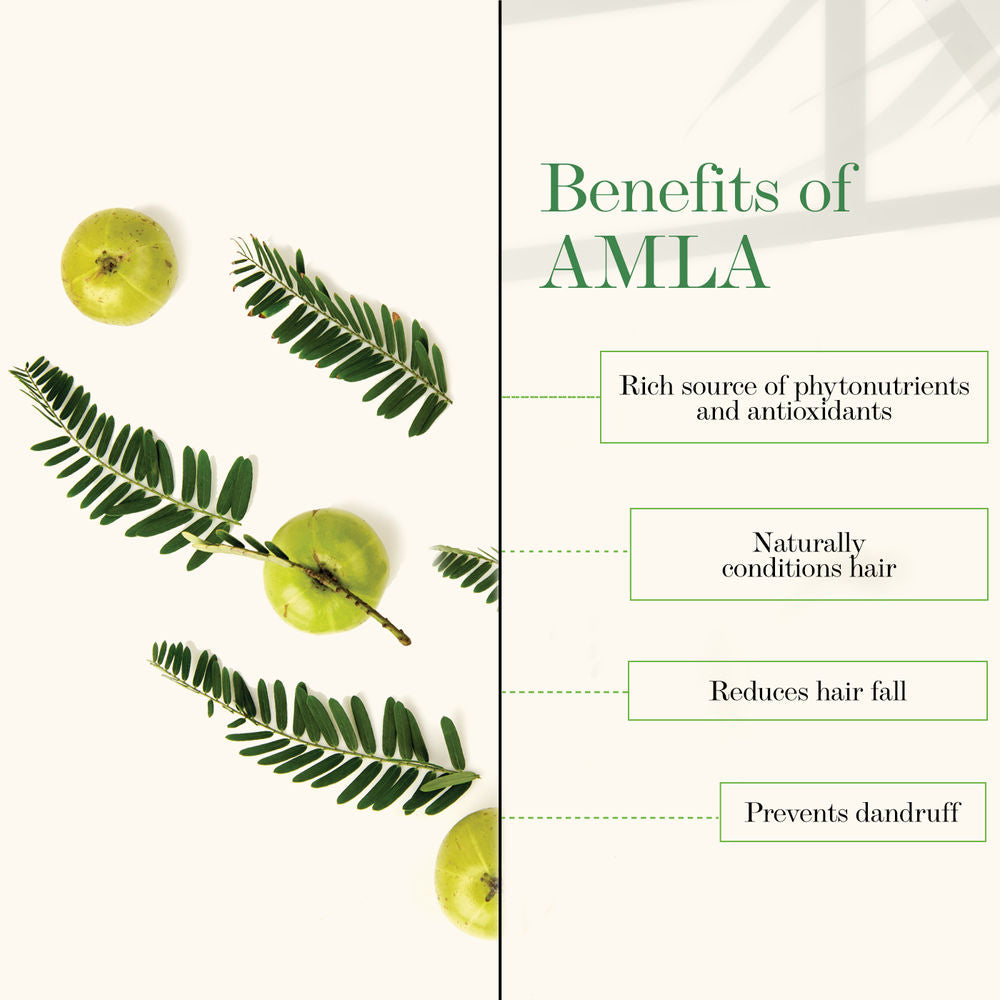 https://cdn.shopify.com/s/files/1/1857/6931/products/good-vibes-amla-shikakai-strengthening-conditioner-120-ml_3_display_1605768155_f28ddaf6.jpg?v=1646133085