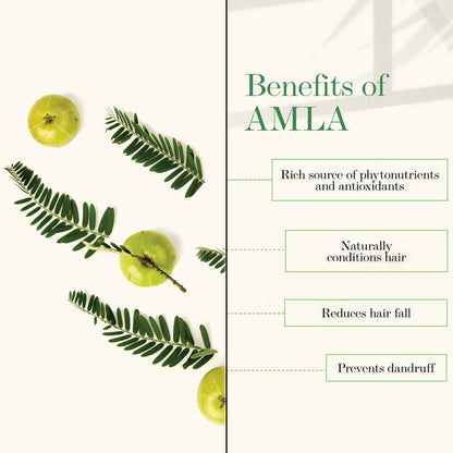 https://cdn.shopify.com/s/files/1/1857/6931/products/good-vibes-amla-shikakai-strengthening-conditioner-120-ml_3_display_1605768155_f28ddaf6.jpg?v=1646133085