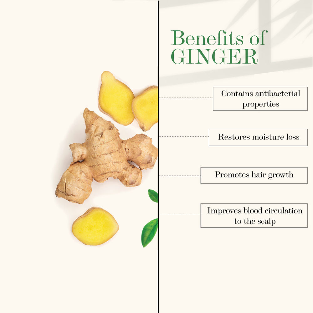 https://cdn.shopify.com/s/files/1/1857/6931/products/good-vibes-anti-dandruff-conditioner-ginger-120-ml_3_display_1635165387_f8b5139b.jpg?v=1646134528