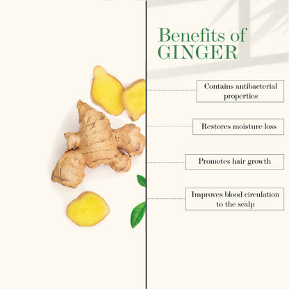 https://cdn.shopify.com/s/files/1/1857/6931/products/good-vibes-anti-dandruff-conditioner-ginger-120-ml_3_display_1635165387_f8b5139b.jpg?v=1646134528
