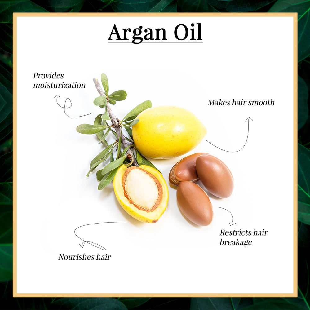 https://cdn.shopify.com/s/files/1/1857/6931/products/good-vibes-anti-hairfall-vitalizing-serum-argan-oil-50-ml_6_display_1595915325_fa02e7f3.jpg?v=1646138523
