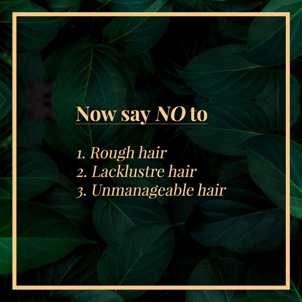 https://cdn.shopify.com/s/files/1/1857/6931/products/good-vibes-apple-cider-vinegar-shampoo-300-ml-21_9_display_1595996776_96c4a272.jpg?v=1646386365
