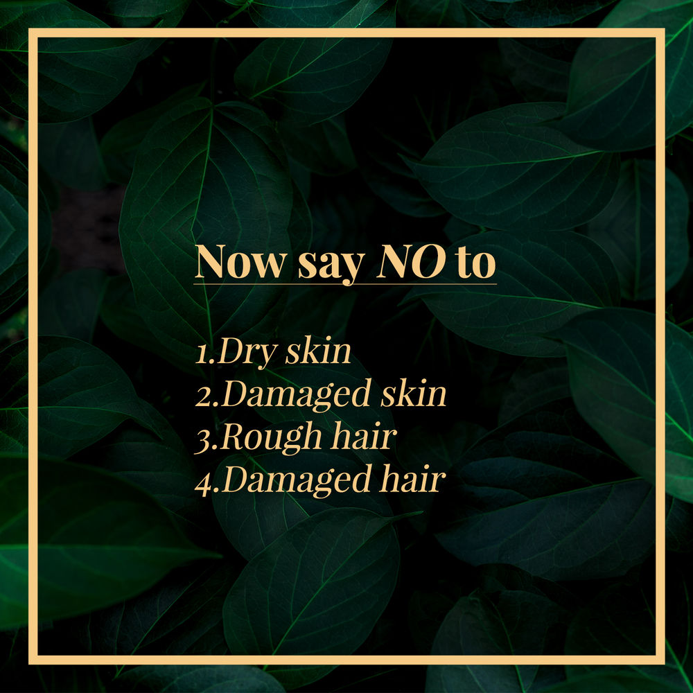 https://cdn.shopify.com/s/files/1/1857/6931/products/good-vibes-argan-coldpressed-carrier-oil-50-ml_4_display_1621943856_23f25028.jpg?v=1646131582