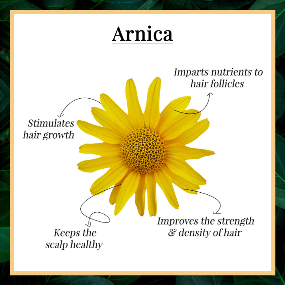 https://cdn.shopify.com/s/files/1/1857/6931/products/good-vibes-arnica-damage-control-hair-mist-50ml_2_display_1580213139_ad3422d8.jpg?v=1646284940