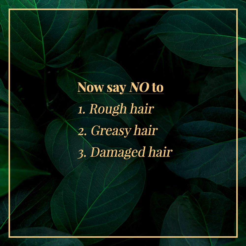 https://cdn.shopify.com/s/files/1/1857/6931/products/good-vibes-arnica-damage-control-hair-mist-50ml_4_display_1580213143_78c20cef.jpg?v=1646284940