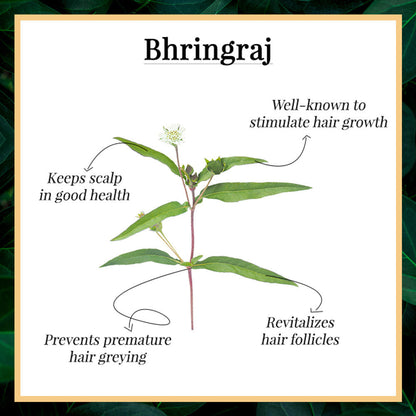 https://cdn.shopify.com/s/files/1/1857/6931/products/good-vibes-bhringraj-nourishing-hair-mist-50ml_2_display_1580213210_e796a674.jpg?v=1646299123