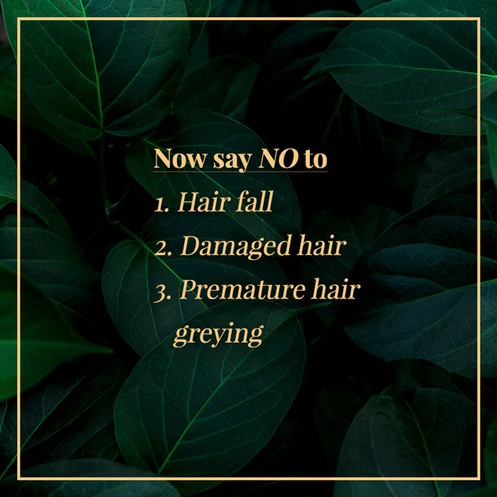 https://cdn.shopify.com/s/files/1/1857/6931/products/good-vibes-bhringraj-nourishing-hair-mist-50ml_4_display_1580213215_2a284172.jpg?v=1646299123
