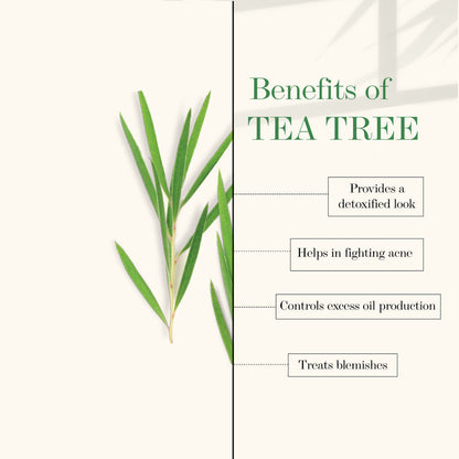 https://cdn.shopify.com/s/files/1/1857/6931/products/good-vibes-blackhead-removal-anti-ageing-face-wash-tea-tree-oil-holy-basil-120-ml_4_display_1645776288_f21996c6.jpg?v=1646220317