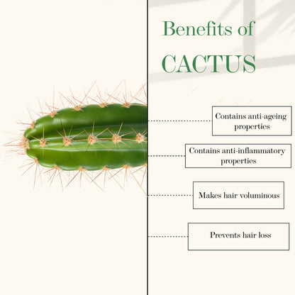 https://cdn.shopify.com/s/files/1/1857/6931/products/good-vibes-cactus-and-rosehip-oil-cold-pressed-oil-100ml_2_display_1609419105_9c8afec2.jpg?v=1646222858