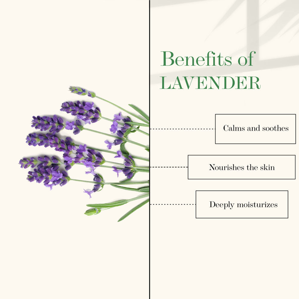 https://cdn.shopify.com/s/files/1/1857/6931/products/good-vibes-chin-and-neck-skin-firming-and-tightening-cream-lavender-50-g_3_display_1608527212_d7e9f952.jpg?v=1646293065