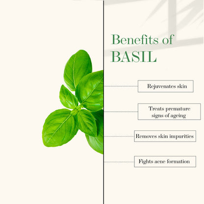 https://cdn.shopify.com/s/files/1/1857/6931/products/good-vibes-deep-cleansing-face-scrub-lime-and-basil-50-g_3_display_1627367307_8ae2b17a.jpg?v=1646285215