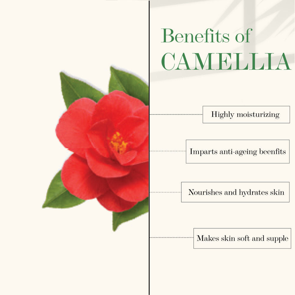 https://cdn.shopify.com/s/files/1/1857/6931/products/good-vibes-deep-moisturising-facial-oil-camelia-10-ml-1_2_display_1618591593_26f97000.jpg?v=1646131487