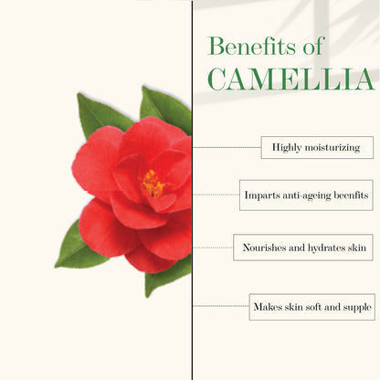 https://cdn.shopify.com/s/files/1/1857/6931/products/good-vibes-deep-moisturising-facial-oil-camelia-10-ml-1_2_display_1618591593_26f97000.jpg?v=1646131487