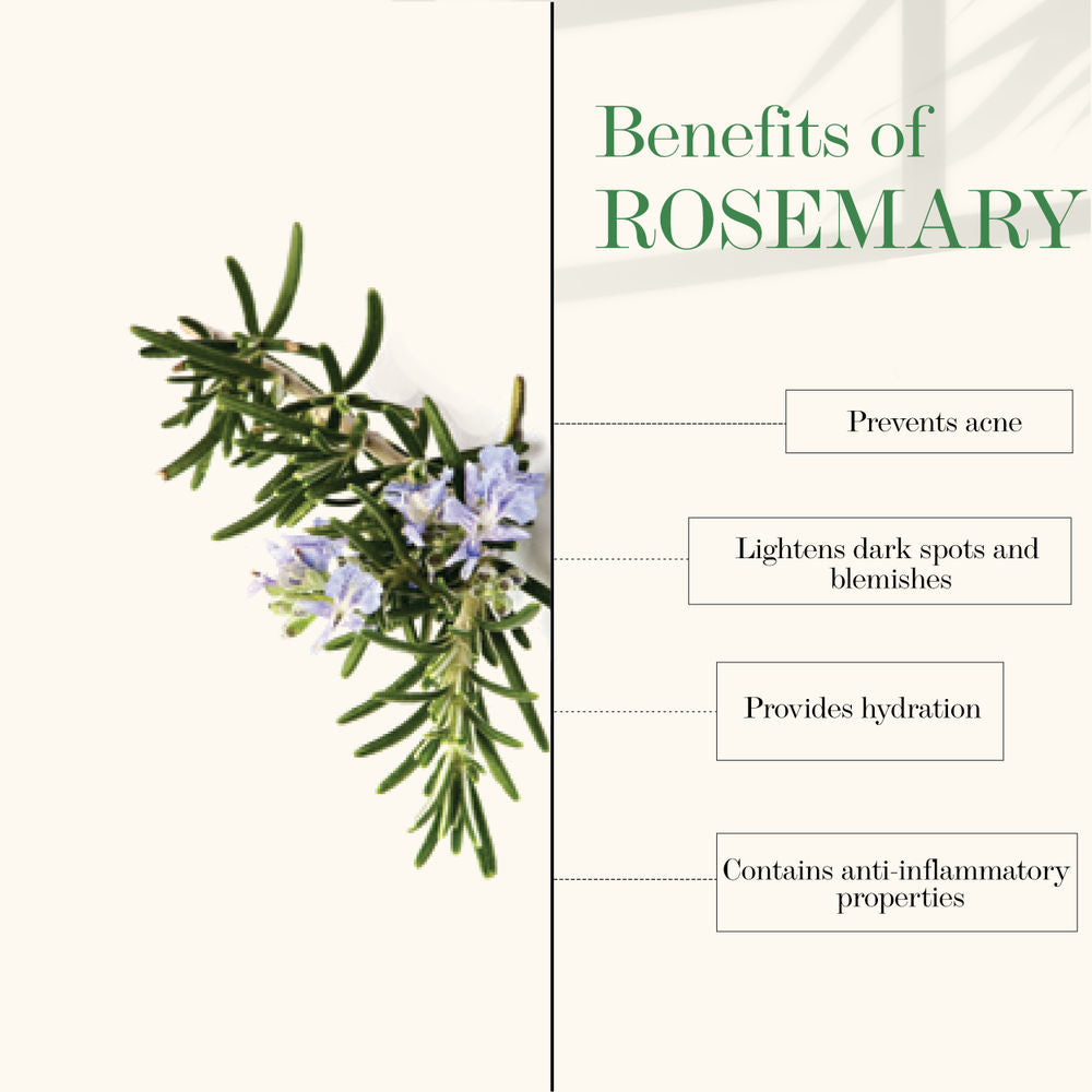 https://cdn.shopify.com/s/files/1/1857/6931/products/good-vibes-face-mist-rosemary-50-ml_6_display_1617356431_baa73051.jpg?v=1646285242