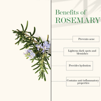 https://cdn.shopify.com/s/files/1/1857/6931/products/good-vibes-face-mist-rosemary-50-ml_6_display_1617356431_baa73051.jpg?v=1646285242