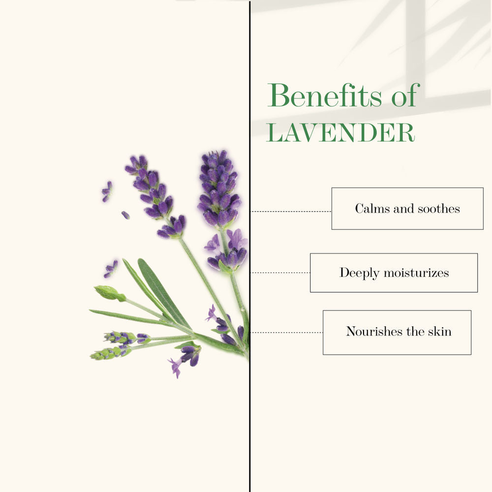 https://cdn.shopify.com/s/files/1/1857/6931/products/good-vibes-foot-therapy-cream-lavender-50-gm_3_display_1624682660_93f6e0ff.jpg?v=1646293291