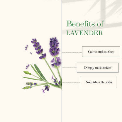 https://cdn.shopify.com/s/files/1/1857/6931/products/good-vibes-foot-therapy-cream-lavender-50-gm_3_display_1624682660_93f6e0ff.jpg?v=1646293291