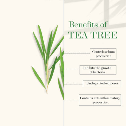 https://cdn.shopify.com/s/files/1/1857/6931/products/good-vibes-gel-tea-tree-50-g-1-55_3_display_1641997645_24dfc30b.jpg?v=1646387130