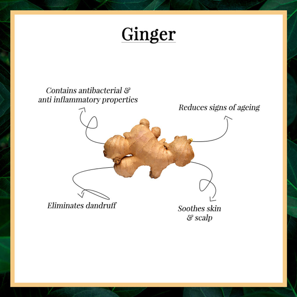https://cdn.shopify.com/s/files/1/1857/6931/products/good-vibes-ginger-essential-oil-10-ml_5_display_1589606880_0b35272b.jpg?v=1646131682