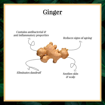 https://cdn.shopify.com/s/files/1/1857/6931/products/good-vibes-ginger-essential-oil-10-ml_5_display_1589606880_0b35272b.jpg?v=1646131682